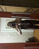 Анкета проститутки Николь - метро Тверской, возраст - 35